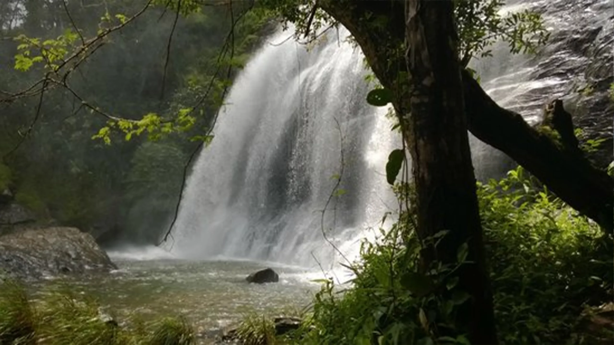 Chelavara Falls